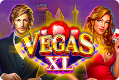 5gringos Vegas XL